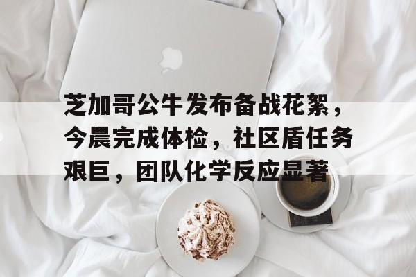 9game-芝加哥公牛发布备战花絮，今晨完成体检，社区盾任务艰巨，团队化学反应显著-9game